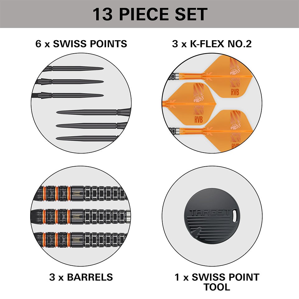Target Darts Raymond Van Barneveld 95K Swiss Point Steel Tip Darts 25 grams